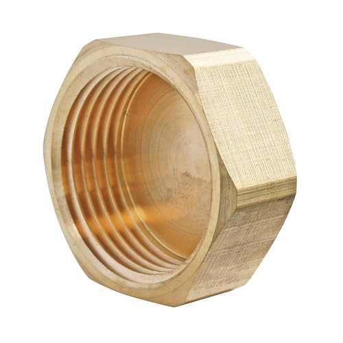 SOMATHERM FOR YOU, Bouchon laiton brut femelle 15/21 - Sachet de 2 pièces pour raccordements plomberie - Compatible avec tous raccords laiton - Étanchéité à réaliser avec joint plat