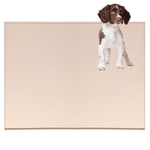 Lifetips R[CPzfBG gC}`FX^[eA ybggC}bg VR h ~ 􂦂  L V[gh~ g[p t[Oی ybggC}bg VR}bg ΍ gCV[gŒ h 