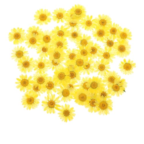 Flores secas prensadas naturales para manualidades 60 piezas miniatura 1