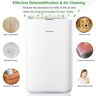 Greenmigo Deumidificatore Assorbire l'acqua 13L/24h Deumidificazione per Ambiente max 50m²,Purificatore d'aria Silenziosa per Casa,Camera da letto,Ufficio,Garage,Cantina,ecc-Contro Muffa e Umidità