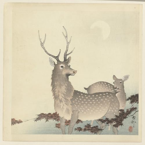 Lienzo cuadro premium de Ohara Koson, arte Famoso Painting de 60x90cm para tu hogar