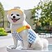 Cartoon Pet Harness Leash & Sun Hat Set - Breathable Mesh Harness for Dogs & Cats Spring/Summer/Fall, Outdoor Walking Apparel