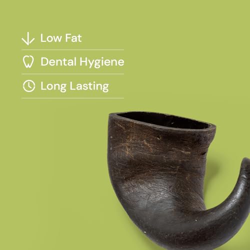 Natural Treats Large Buffalo Horns for Dogs (1pc) Long Lasting Grain Free Hypoallergenic Dental Chew Treats