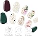 Dashing Diva Gloss Nail Strips Bundle - The Winter Florals Collection- Baby Bouquet & Magnolia Vine - UV Free, Chip Resistant, Long Lasting Gel Stickers - Contains 2 Sets