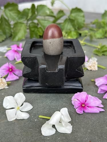 Image of Shivam VASTU AKAL 1.5 inch Original Narmadeshwar Narmada Shivling with 3 inch Narmada Stone Yoni Base Jaladhari (Mahamratunjay Shivling, Black Square Jaladhari)