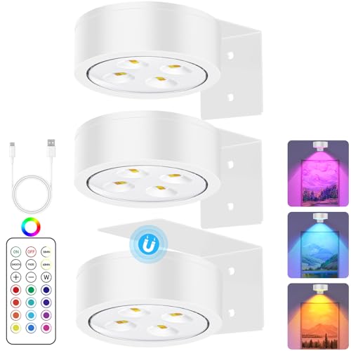 Image of 13 RGB Color Changing Led Art Display Light for Picture Frame,Rechargeable Battery Operated Led Painting Light with Remote Control Dimmable & Timer,3Pack White
