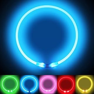 LMLMD Light up Dog Collar Water Resistant, LED Dog Collar USB Rechargeable, Glowing Pet Collar for Night Safety, Makes Your Dog Visible, Blue