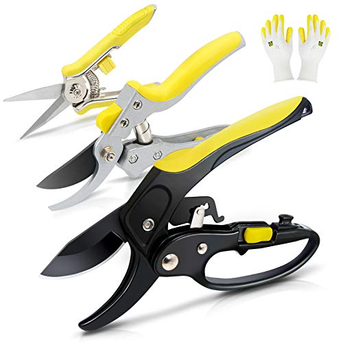 Jardineer Secateurs Snips Set 4Pcs - Ratschenamboss-Gartenschere, Bypass-Gartenschere, Blumenschere mit Gartenhandschuhen. Langlebige Gartenhandschneider Werkzeuge Cover