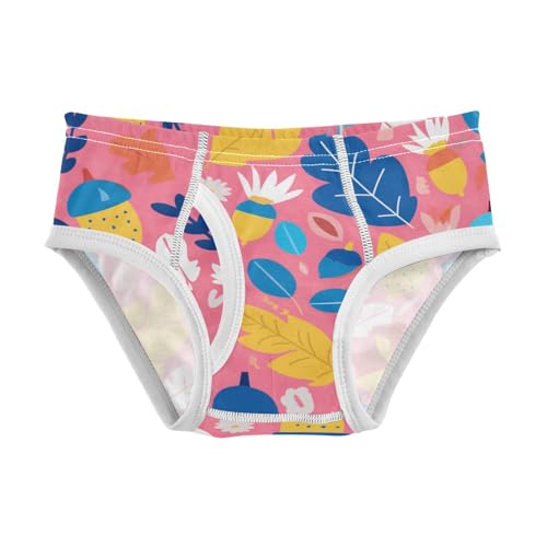 KLL Acorns with Decorative Trees Toddler Boys' Cotton Briefs Cute Undies