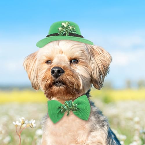 Disfraz para mascota San Patricio con sombrero y collar ajustable miniatura 3