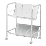 サンワダイレクト ファイルワゴン キャスター付き 2段 A4対応 幅57×奥行40×高さ70cm 斜め 耐荷重40kg 100-WG003W