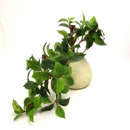 G} H O[ _ŗfUC̊ JA[t bh ES