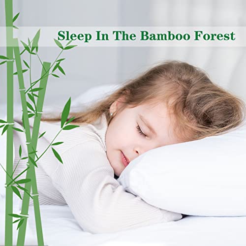 Dreamhour Bamboo Fiber Comforter King Size,White Ultra Soft Breathable Plush Duvet Insert All Season Machine Washable,8 Corner Tabs 106X90 Inches #TOP6