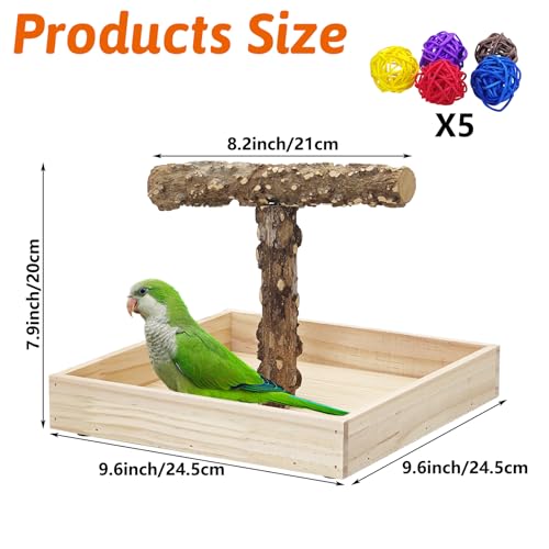 Image of BNOSDM Portable Bird Perch Stand with Potty Tray, Natural Wood Tabletop Training Gym Parrot Playground Toy for Budgies, Cockatiels, Lovebirds,Conures