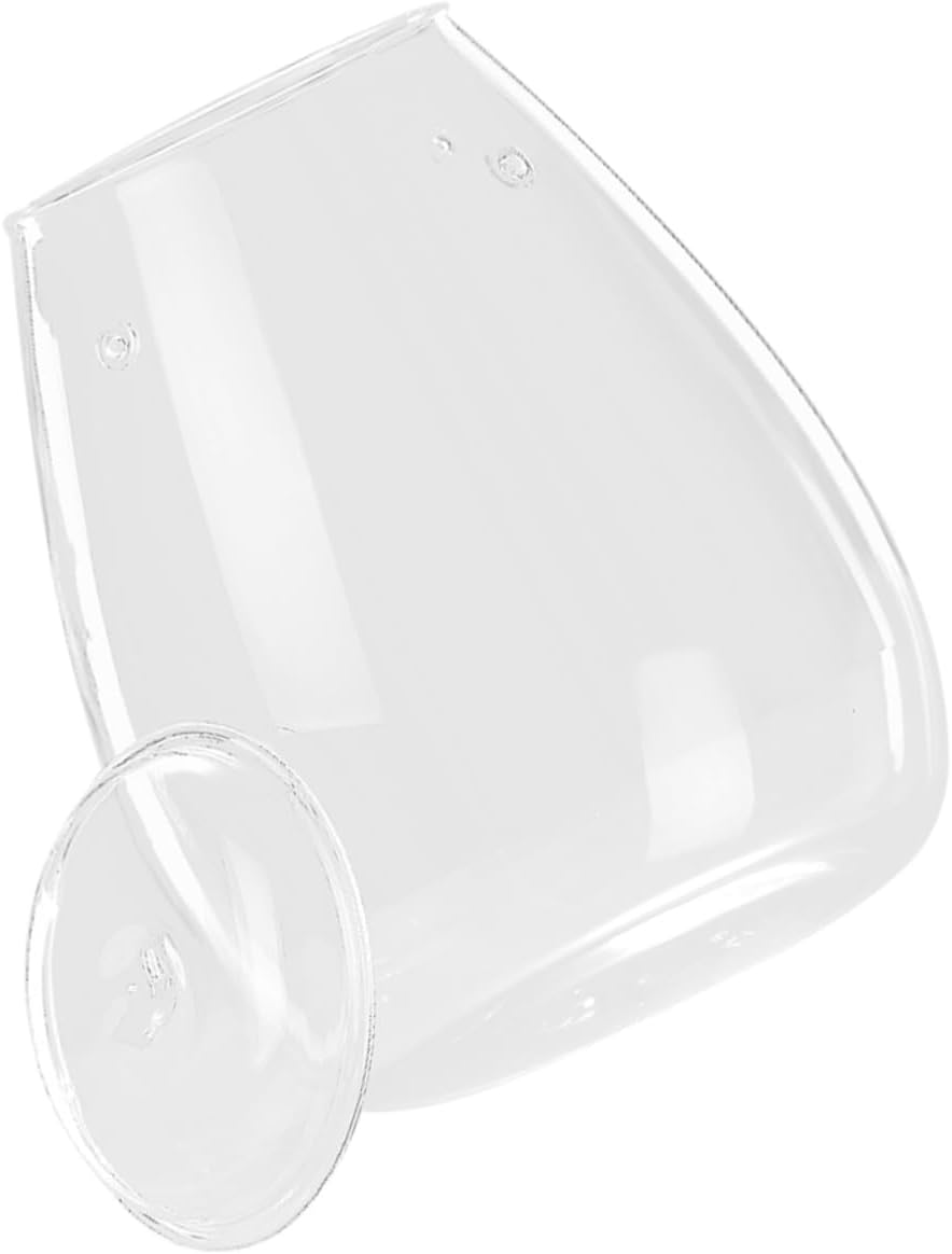 Empty Hydroponic Vase Landscape Glass Terrarium Container Decorative Table Adornment for Plants Lightweight Design for Home and Organizing