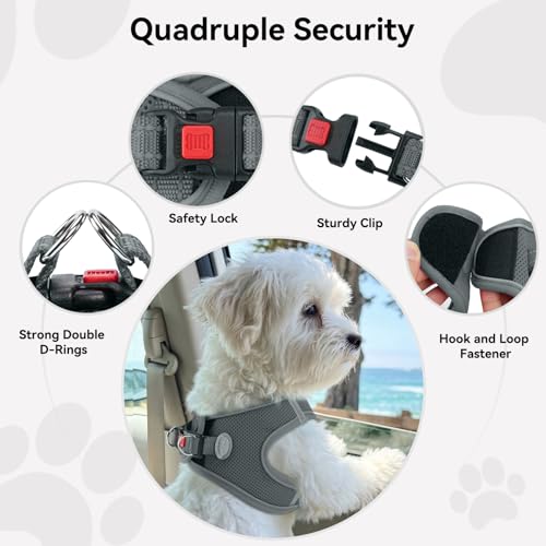 Joytale Hundegeschirr Kleine Hunde, Reflektierend Weich Gepolstert Geschirr, Air-Mesh Brustgeschirr Hund Klein, S, Grau