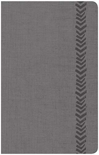 CSB Essential Teen Study Bible, Personal Size, Gray LeatherTouch