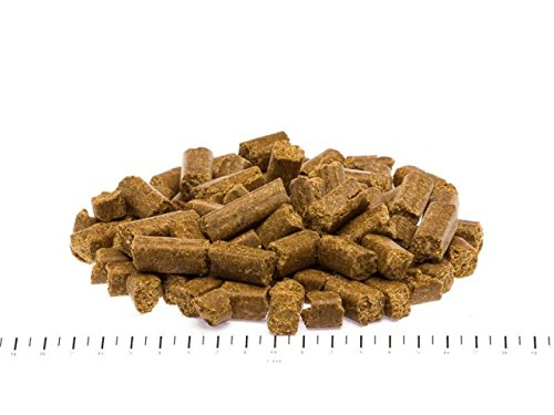 Wildborn Prime Chicken 500 g kaltgepresstes Hundefutter getreidefrei mit extra viel Hühnchenfleisch