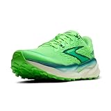 Brooks Cascadia 19 Sneaker