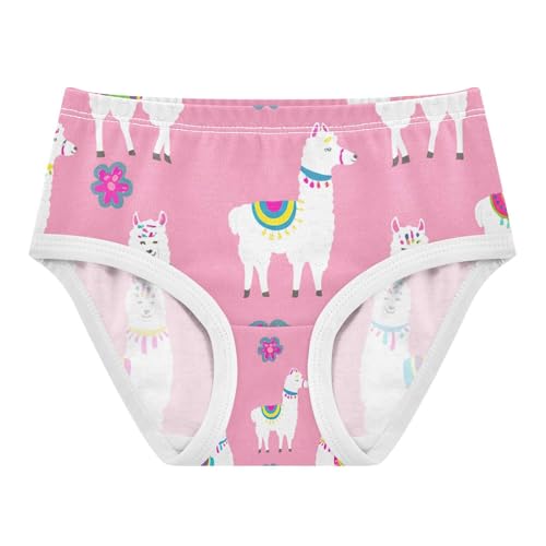 Llamas Alpaca Pink Toddler Girls's Underwear 2T 202c1327