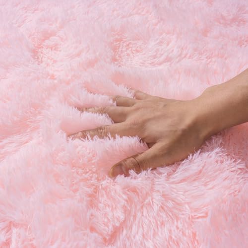 Pink Rug for Living Room, 6x9 Area Rug for Cute Girls Room, Bedside Indoor Floor Fluffy Shag Carpet, Plush Soft Rug for Bedroom Nursery Dorm Home Decor