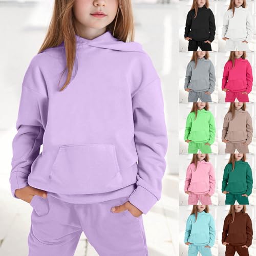 Toddler Kids Sweatsuit Girls Boys 2 Piece Tracksuit Jogging Outfits Set Hooded Sweatshirt and Jogger Sweatpants Clothing Sets3