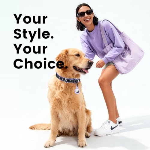 Collier pour chien réglable en cuir avec support AirTag adapté aux petits chiens