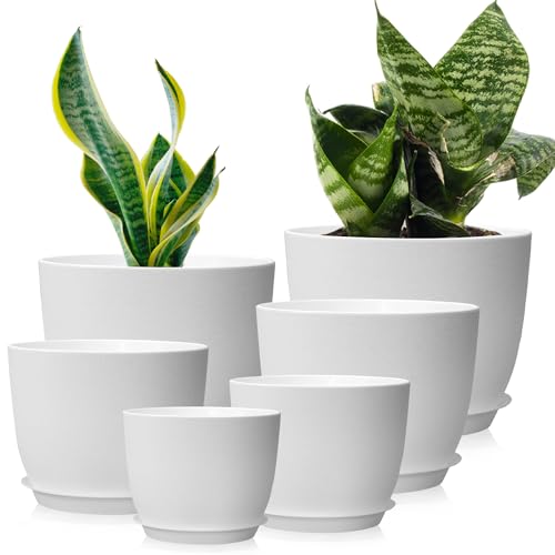 Wintfarm Vaso de 6 embalagens com prato, 25/23/20/18/16/13 cm, vasos com orifícios de drenagem e bandejas, ideal para interiores e jardins de varanda (branco)