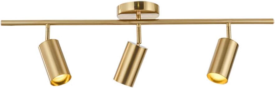 Lighting Adjustable Track Lighting Fixture Brushed Brass Flush Mount Ceiling Light Fixture for Kitchen Dining Room Spotlight (3 Light)