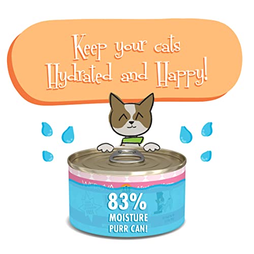 Weruva Cats In The Kitchen, Kitty Gone Wild With Wild Salmon Au Jus Cat Food, 3.2Oz Can (Pack Of 24) #TOP3