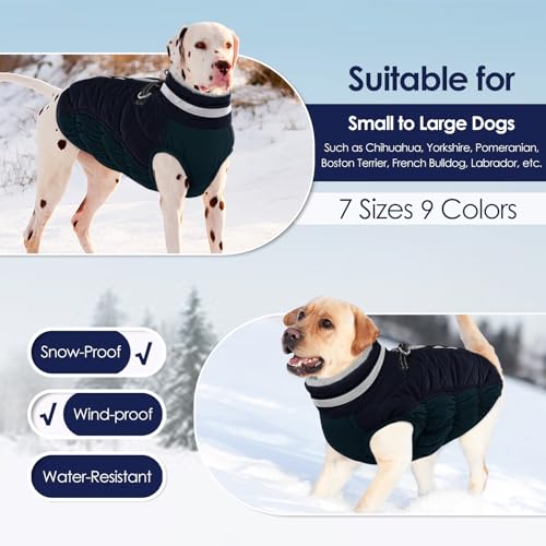 AOFITEE Hundejacke Kleine Hunde, Wasserdicht Hunde Wintermantel Warm Hundemantel mit Geschirr, Rollkragen Hunde Winterjacke Fleece Reflektierende Hundejacke Outdoor Hundebekleidung,S Blau