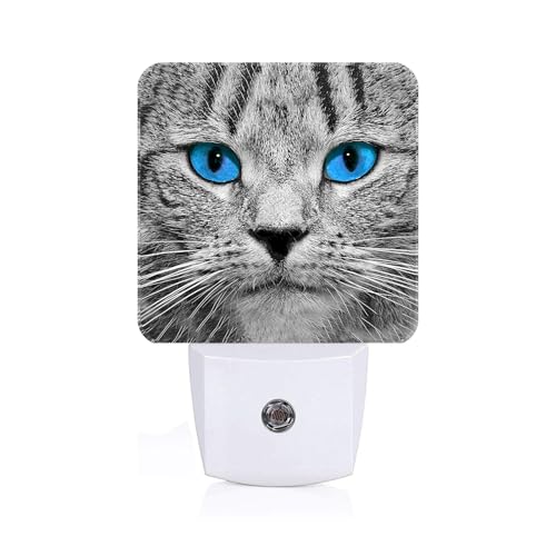 Image of Blue Eyes Cat Night Light,Plug Into Wall with Dusk to Dawn Light Sensors, Warm Nightlights for Bedroom, Bathroom, Hallway, Kitchen, Gifts Ideal for Boys Girls Women Men