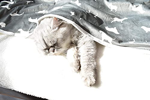 LUCKITTY Double Thickening Small Dog Blanket,Super Soft Warm Sherpa Fleece Plush Washable Cat Pet Throws for Couch, Car… - Image 6