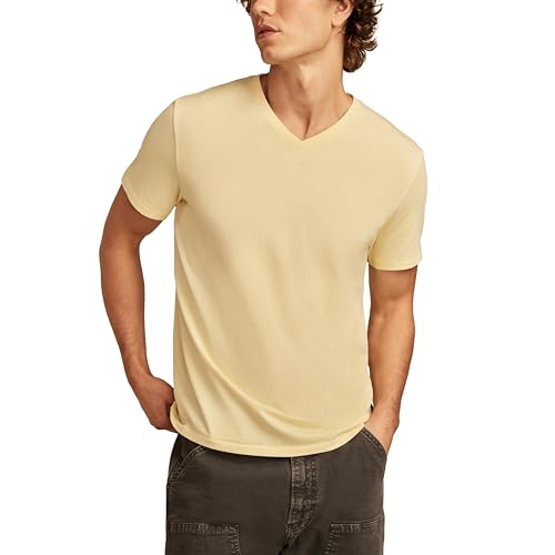 Image of Lucky Brand Men's Venice Burnout V Neck Tee