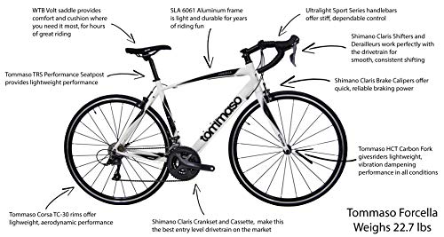 tommaso forcella endurance aluminum road bike