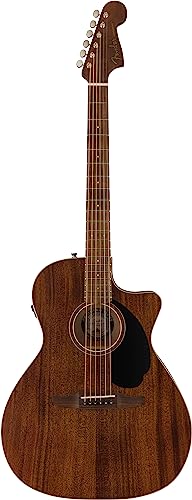 Fender New porter エレアコ 419Lqo5V02L.jpg