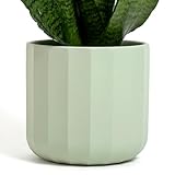 ✨ MULTIFONCTIONNEL & POLYVALENT - Grâce à sa forme et ses dimensions compactes, ce pot décoratif est idéal aussi bien pour l'intérieur que pour l'extérieur. Il s'intègre parfaitement dans différents contextes : comme complément d'ameublement pour le salon, la chambre, la salle de bain ou l'entrée, ou comme pot ornemental pour le balcon, la terrasse, le gazebo, la pergola ou le bord de piscine. Excellent également en tant que centre de table décoratif pour apporter une touche d'élégance à vos tables intérieures et extérieures.