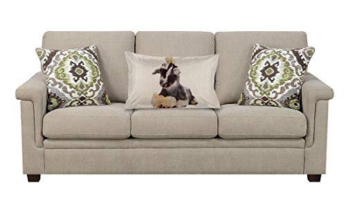 Swono Animal Throw Pillow Cover Farm Animals Cute Newborn Goat And Chickens Cotton Linen Decorative Rectangular Pillowcase For Sofa And Bed Couch 12"X20" #TOP1