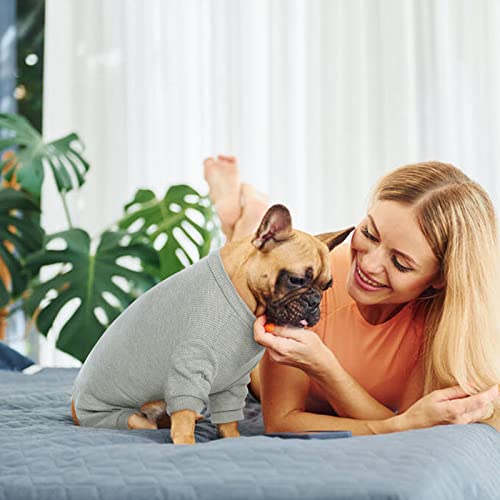 Hjumarayan Hunde Pyjama, Schlafanzug Hund OP Body Hund Stretch Body für Hund nach OP mit Beinen, Hundebody nach Kastration Rüde Hunde Body Operation Hündin, Grau L