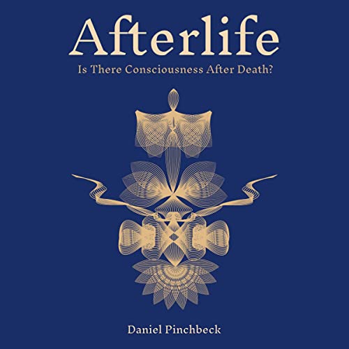 Afterlife by Daniel Pinchbeck episode artwork