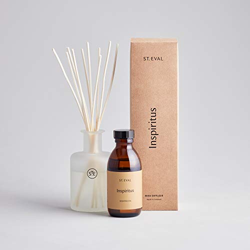 St Eval Inspiritus Reed Diffuser Set 150ml - Home Decor & Office - Nutmeg, Cinnamon and Clove Fragrance Oil - Gift