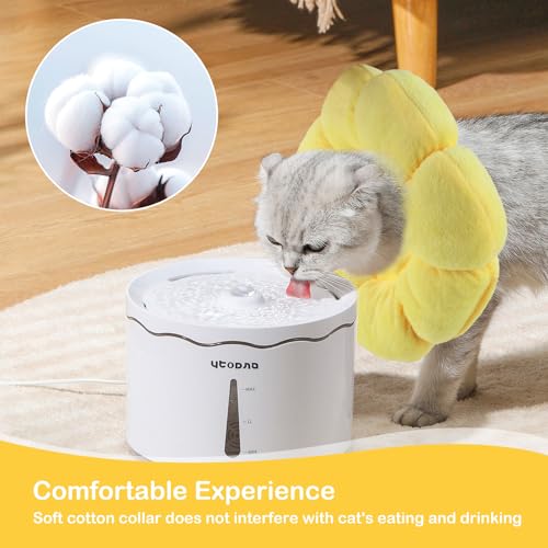 Halskrause Katze, Kragen Katze Set Mit Beißseil, Elisabethanischer Kragen Für Katzen, Verstellbares Halskrausen Für Katzen, Weicher Trichter Katze Für Katzen Mit Einem Kopfumfang Von 12-20cm