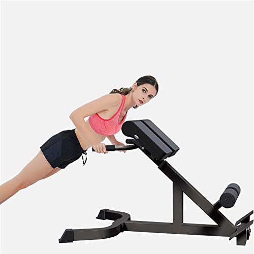Printasaurus Bench Roman Chair Back Hyperextension【Ship From Usa】 Adjustable Ab Bench Hyperextension Exercise Strength Training Back Machines (A) #TOP2