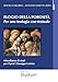 Elogio Della Porosità. Per Una Teologia Con-Testuale. Miscellanea Di Studi Per Il Prof. Giuseppe Lorizio - 3