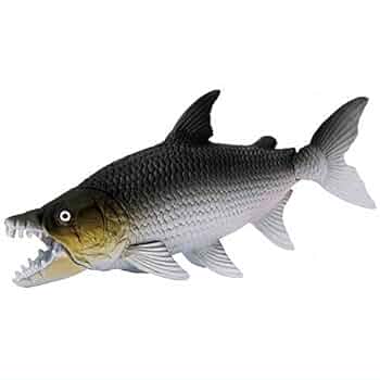 時の怪魚 時の怪魚 時の怪魚 ZX太刀魚 | 株式会社ベイシックジャパン