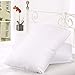 Sweet Home Collection (2-Pack) 20 by 26" Luxury Bed Pillow Filled with Top Quality Down and Goose Feathers, Standard, White