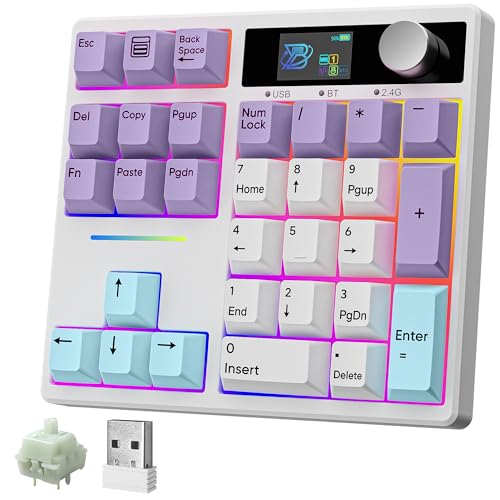 BOYI TD31Pro Mechanical Number Pad,Bluetooth5.0/2.4G/Type-C Wireless Numeric Keypad,RGB HotSwap Numpad with Screen&Knob,PBT Keycap Rechargeable Gasket Number keypad for PC Laptop (White-Purple)
