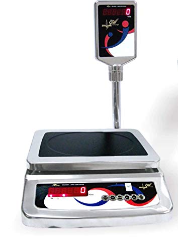 GILL SS Heavy Weighing Scale, 30Kg