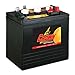 PowerStar Crown Battery BCI Group GC2 6V 220AH Deep Cycle Golf Cart and Scrubber Battery X6