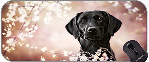 YENDOSTEEN Mauspad Extended XXL, PET Labrador Hund Maus-Pads